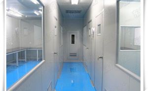湖南藥廠凈化車(chē)間裝修-【東鑫凈化】終身售后更放心